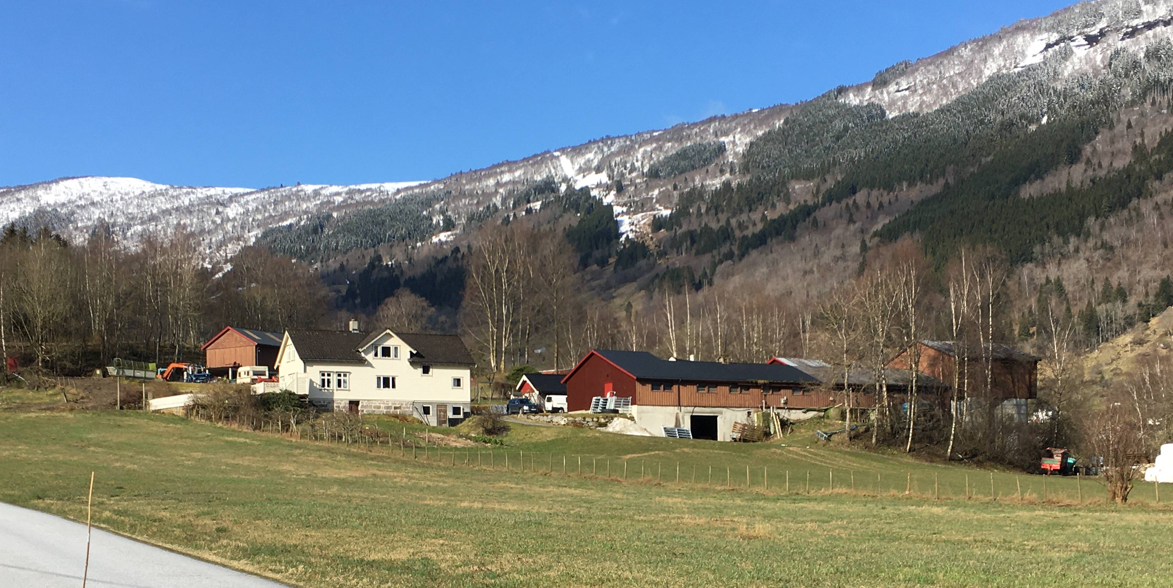 farm/46392801/hist/2020.jpg
