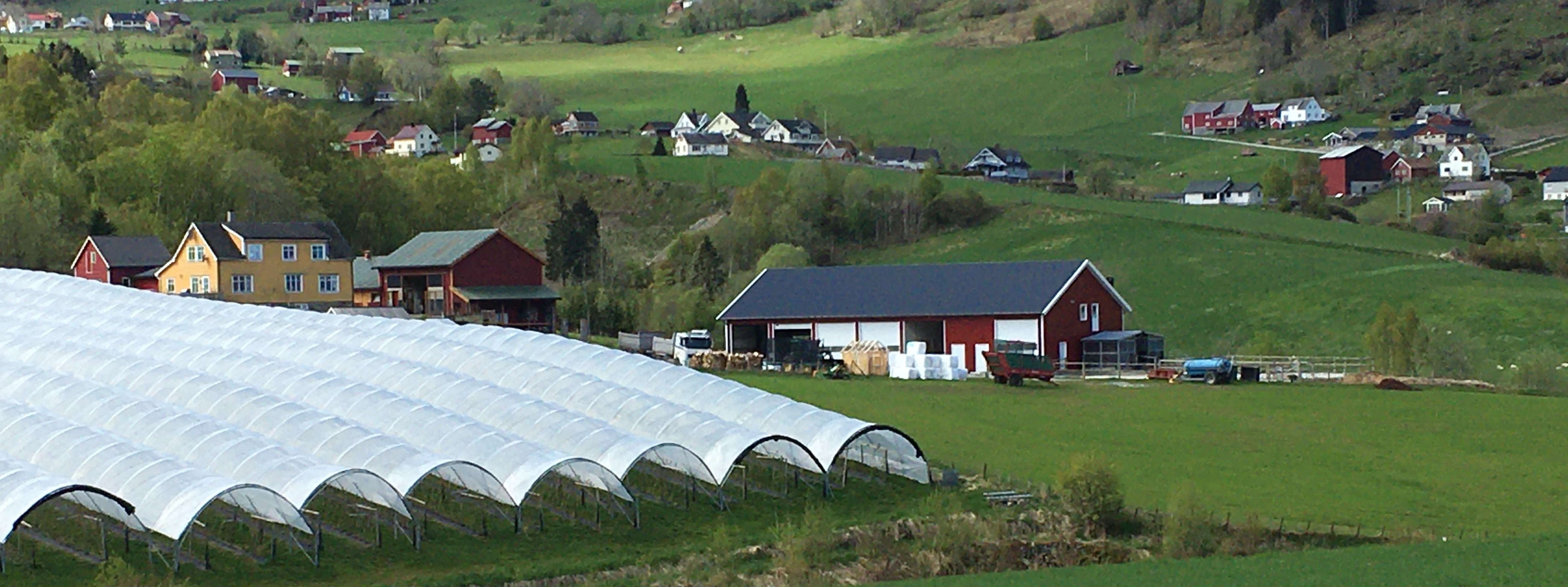 farm/46392803/hist/202005.jpg