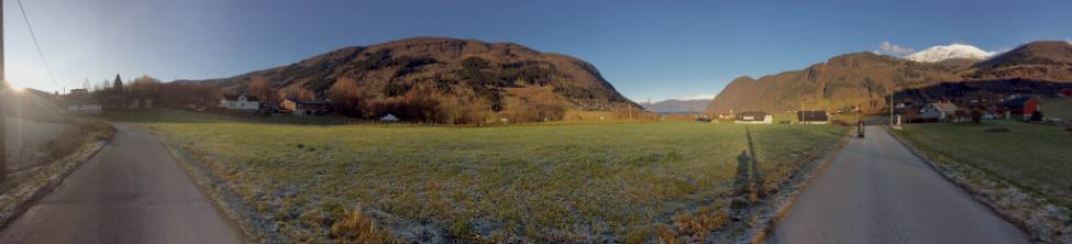 farm/Hønsi_pan_web_20191103.jpg