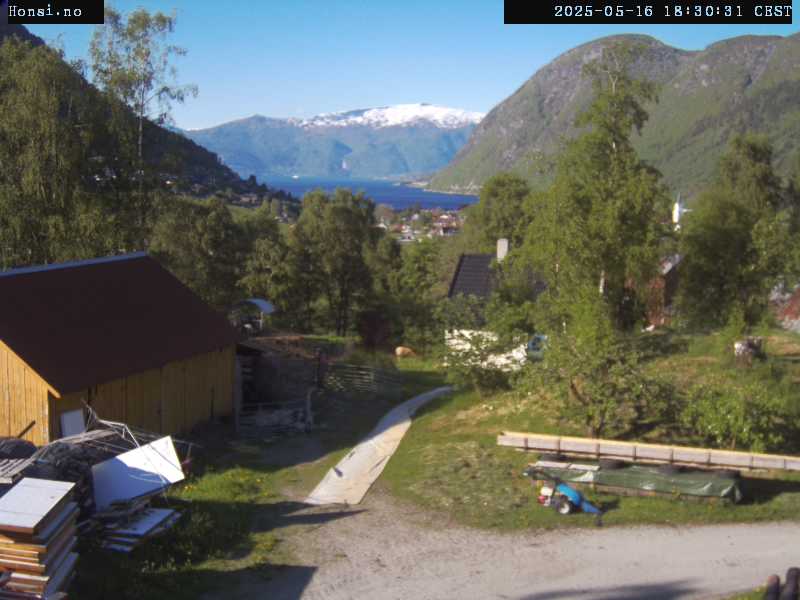 Hønsi
